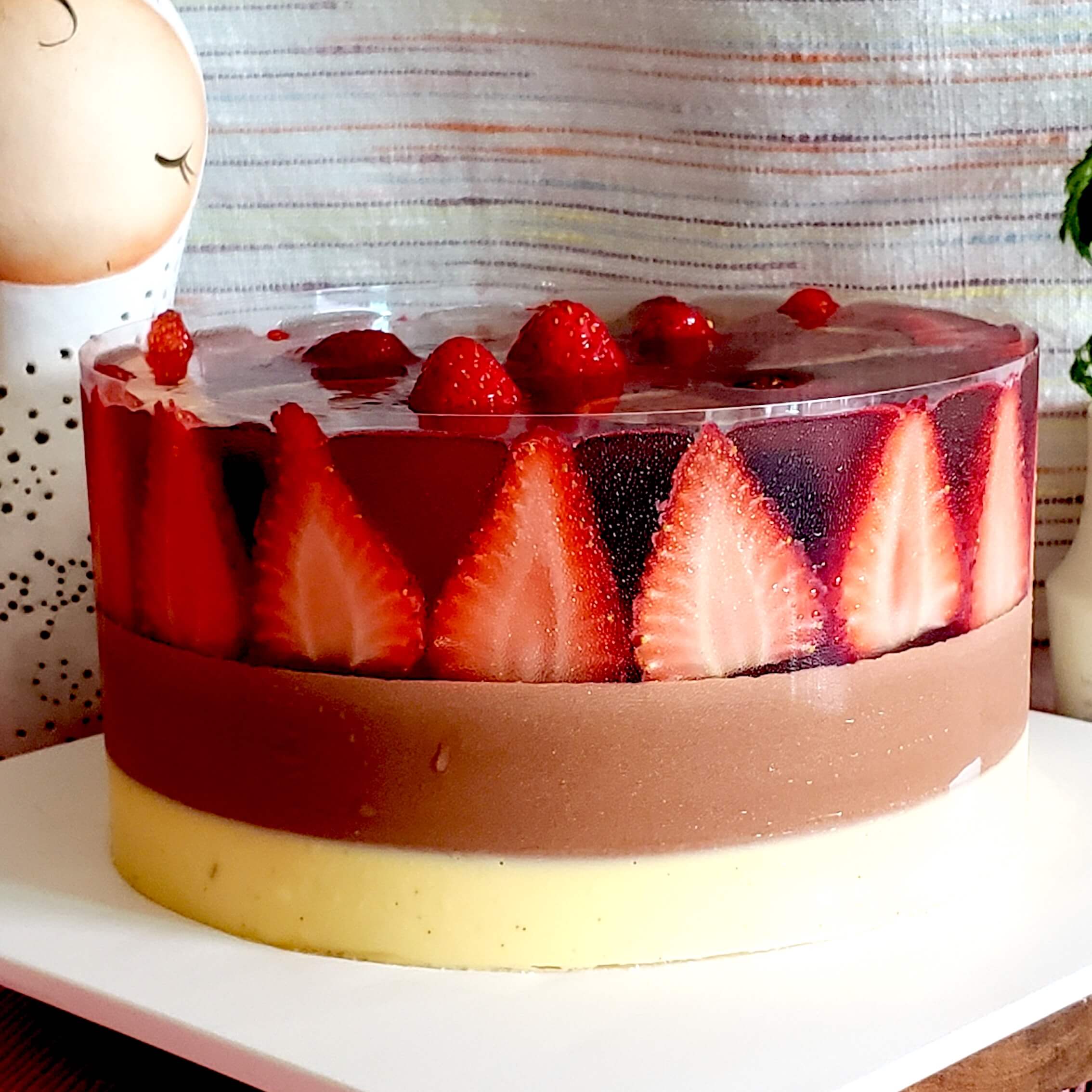 Chocolate Vanilla Mousse cake with Strawberry Jelly